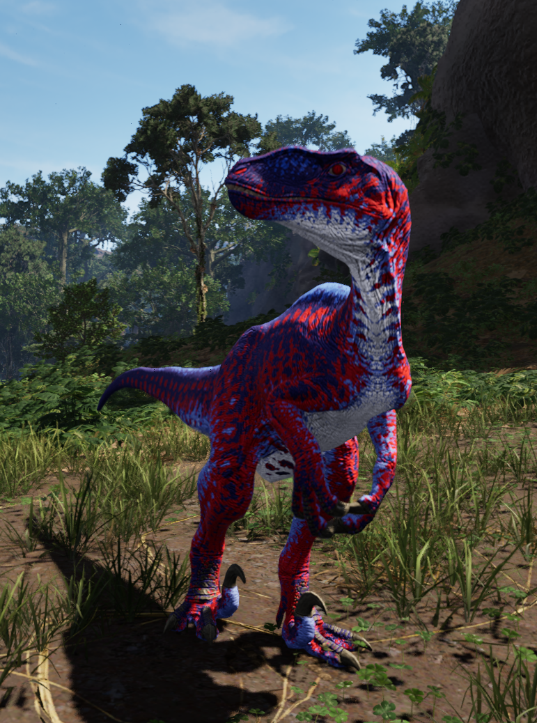 Pop Rock Rare Skin