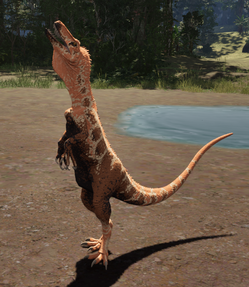 Pumpkin pie Common skin
